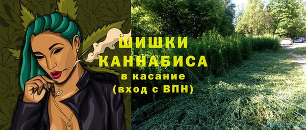 mdpv Няндома