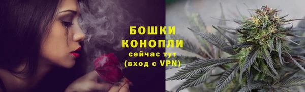 гидра Осинники