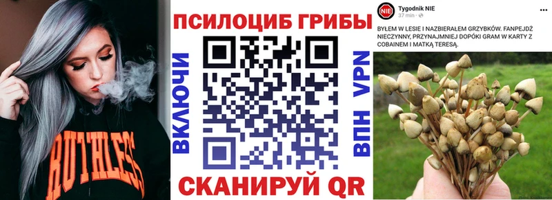 Псилоцибиновые грибы GOLDEN TEACHER  Иннополис 
