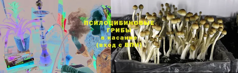 Галлюциногенные грибы мицелий  Иннополис 